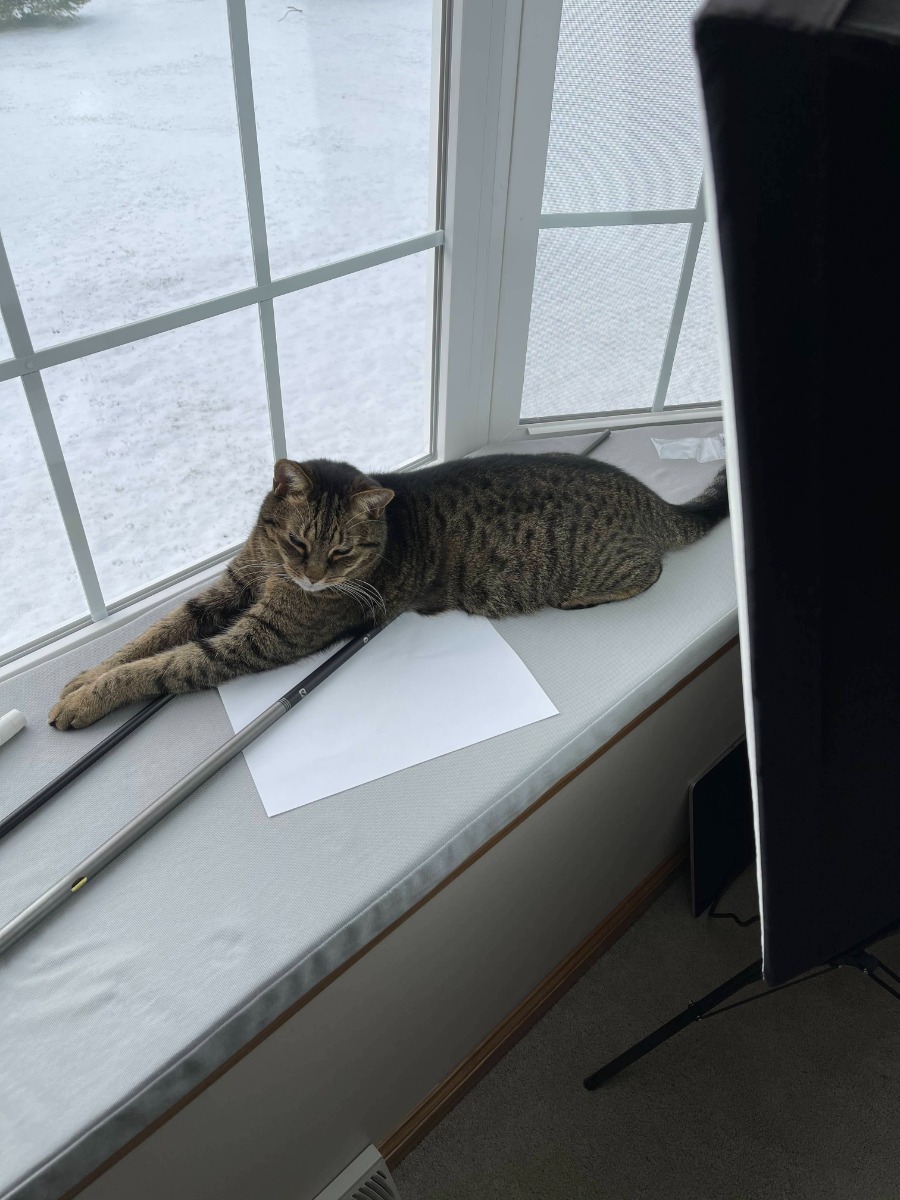 Pet